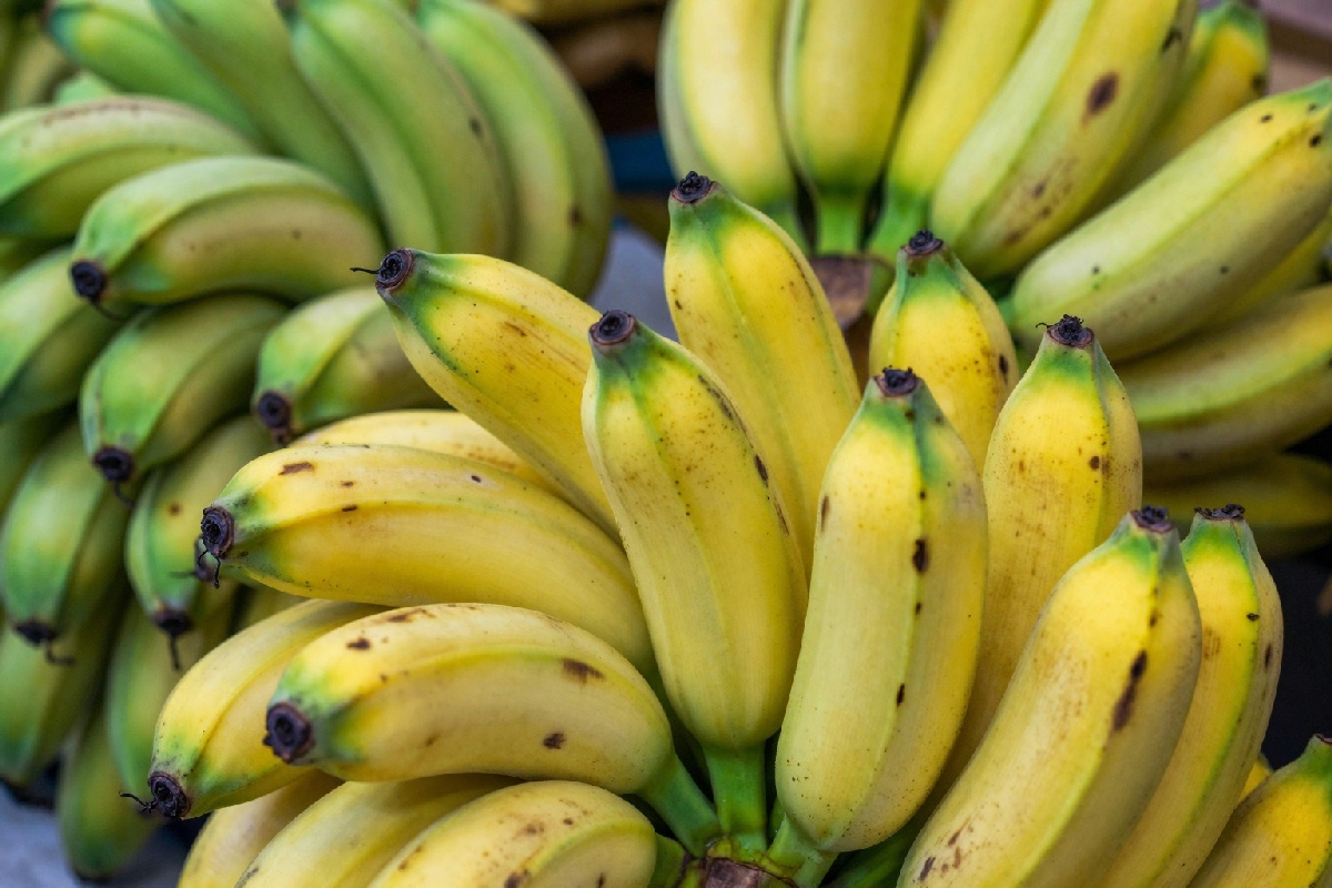 Banane verdi, gialle o macchiate: significato dei colori e indicazioni su quando consumarle